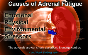 causes of adrenal fatigue