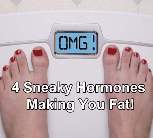 4-sneaky-hormones-making-you-fat