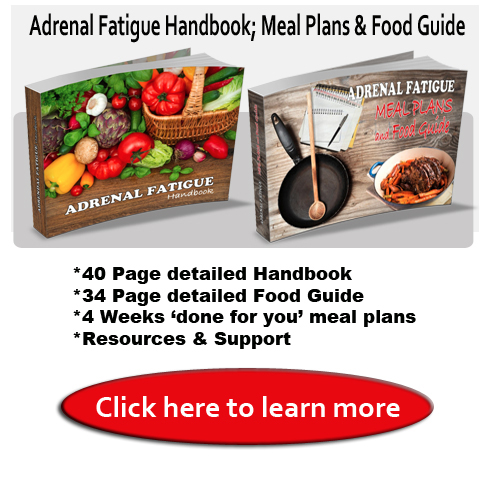 Adrenal Fatigue Handbook meal plans