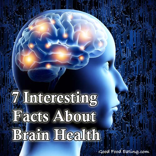 7 Interesting Facts About Brain Health