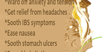 8 Terrific Chamomile Tea Benefits