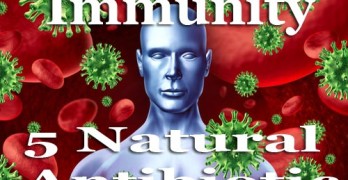 5 Powerful Natural Antibiotics