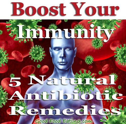 5 Natural Antibiotic Remedies