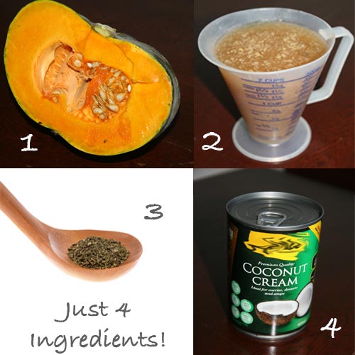 4 Ingredient Pumpkin Soup