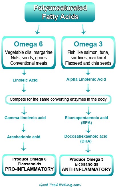 Omega 6 vs Omega 3 Fatty Acids