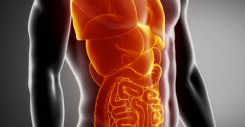 GFE Podcast #60: What does inflammation mean exactly?