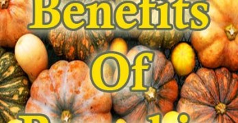 GFE Podcast #64: Pumpkin Health Benefits