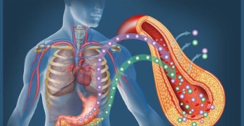 GFE Podcast #65: Information on Type 2 Diabetes