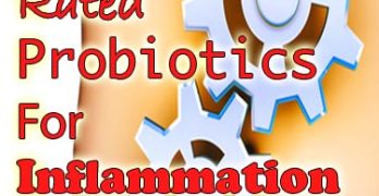 TOP 2 Best Rated Probiotics For Inflammation & Health