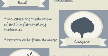 Top 4 Anti-Inflammatory Herbs