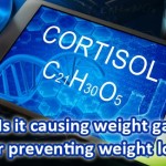 GFE Podcast #83: What is cortisol, cortisol and weight gain
