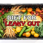 Diet for Leaky Gut